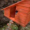 Caapz's gorilla hut