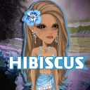 𓇼˖ * ❀ /hibiscus house
