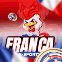 FRANÇA E-SPORTS