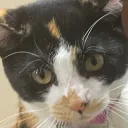 Waffles's Pantry