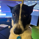 Hi Discord server icon