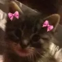 ˚ ⋆ 🦴⸝⸝Bitchtopiaᵎ꒰ 🦇 ๑ ⋆˚'
