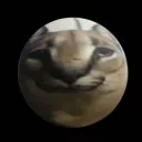 Floppa Planet