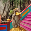 Discovery icon for Miri Discord server