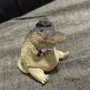 Crocodile's Underwater Hideout Discord server icon