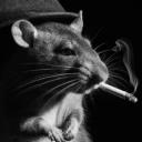 inner lining Discord server icon