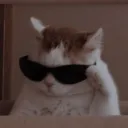 Niifty