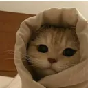 fermews litter box