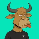Lazy Bull Club