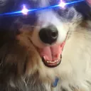 Phoenix's server