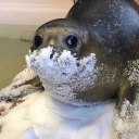 Off Topic Discord server icon