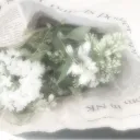 ⋆.𖥔🌏˖๋〃𝐶𝑜𝑢𝑛𝑡𝑟𝑦_𝑃𝑎𝑛𝑔𝑒𝑎〃˖๋🌏𖥔.⋆
