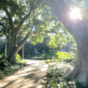 Discovery icon for 🌿   𓏼   lured   𓏼   guild tags Discord server