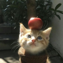 .𖥔 ݁ ˖╭ ┆𝑳𝒖𝒔𝒉 𝑳𝒐𝒂𝒎╰⊹ ࣪🎄 Discord server icon