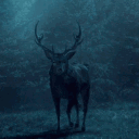 ⊹ ࣪ ˖ Ravenstag 𝜗ৎ