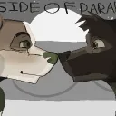 THIS SIDE OF PARAIDISE || SHIPPING MAP