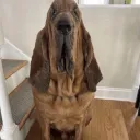 Geeks Discord server icon