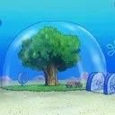 Naddy's Dome