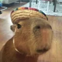 Capivara Town