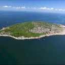 THE ISLAND Discord Server Icon