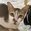 --.- Discord server icon