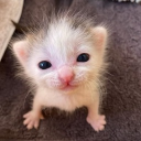 looking for friends ! Discord server icon
