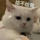 VTuber服务器