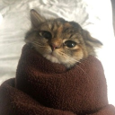 Shqip CHILL Discord server icon