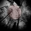 softcut://Virginal Static Discord server icon