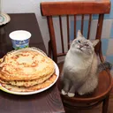 ‧₊˚🥞 ˓ ミ 𝚔𝚒𝚝𝚝𝚎𝚗𝚜 𝚊𝚗𝚍 𝚙𝚊𝚗𝚌𝚊𝚔𝚎𝚜 ᨐᵉᵒʷ