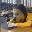 Golden Bear Job Referrals & Career Connections