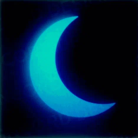 Moonlight ⭐ — Дискорд Сервер