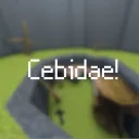 Cebidae!