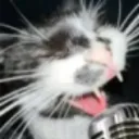 Racist ai Discord server icon