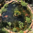 🐟 fishpond 🪼˙✦