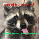 Feral Homestead Discord server icon