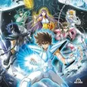 Saint Seiya rp