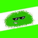 Greenberry’s Hangout Server