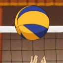 Volleyball Legends RU