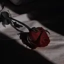 🌹 𝓦𝓪𝔂𝔀𝓪𝓻𝓭 𝓢𝓸𝓾𝓵 🖤