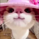 Clovy