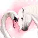 𝐏𝐢𝐧𝐤 𝐒𝐰𝐚𝐧𝐬 𝐈𝐧𝐜 ࿔*:･𝐓𝐡𝐞 𝐏𝐢𝐧𝐤 𝐋𝐚𝐠𝐨𝐨𝐧