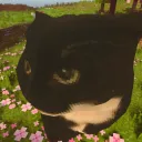 𝓩𝓺𝓽𝔀𝓺