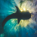 ⋮ mooftopia ღ ꒱