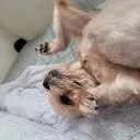 판솔 디스코드