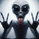 Well educated yns Discord server icon