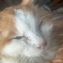 れんのサーバー