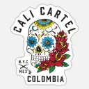 Cali Kartell