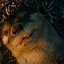 Otters ϟHideout亗