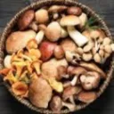 The Vault (Gourmet and Medicinal)